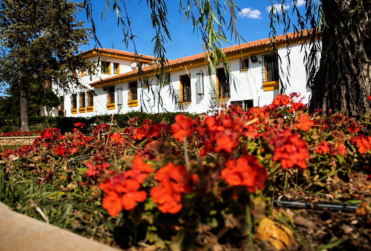 Hotel Burbuja | Habitaciones Burbuja bajo las estrellas